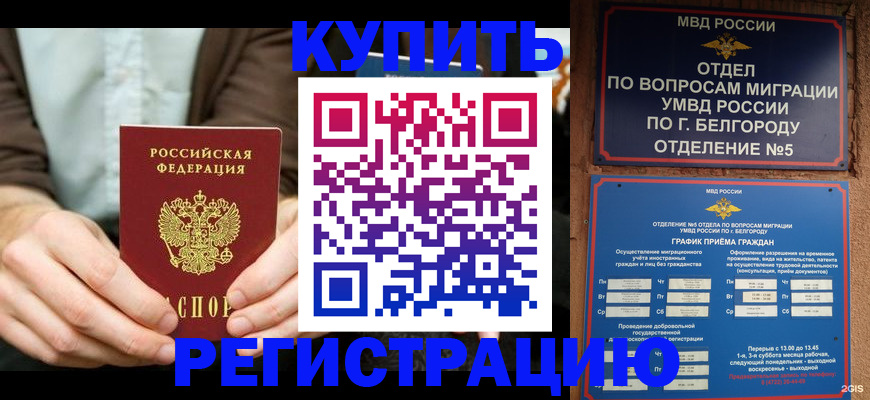 прописка 2025 в Бавлах